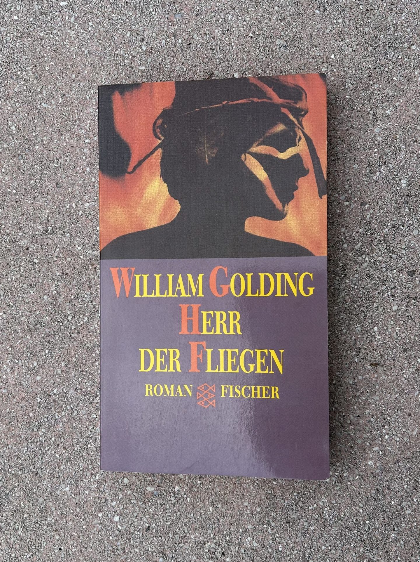 „Herr der Fliegen“: Ein Klassiker, den ich eher enttäuschend fand