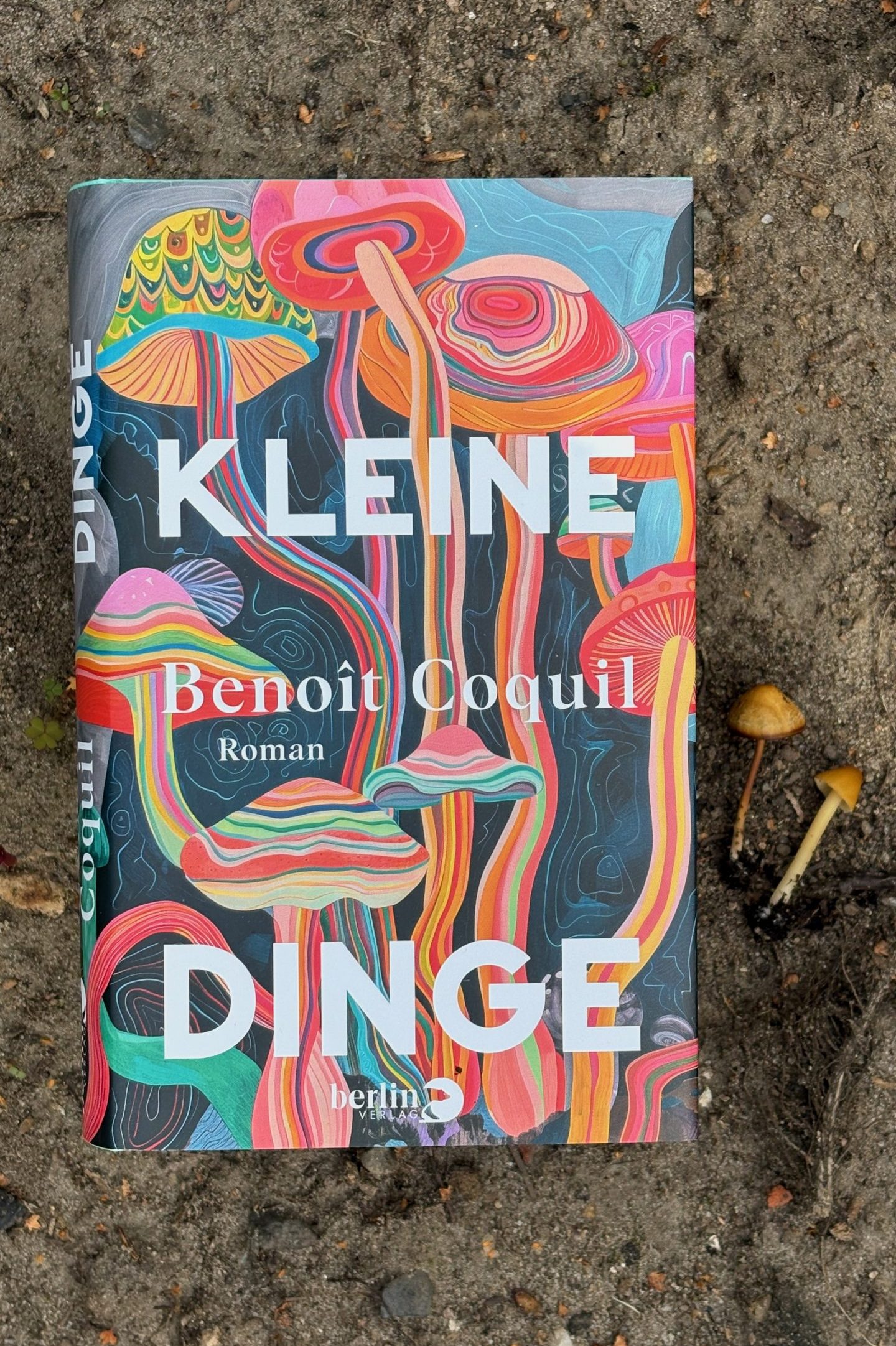 „Kleine Dinge“: Eine kurzweilige Reise in die Welt der Magic Mushrooms